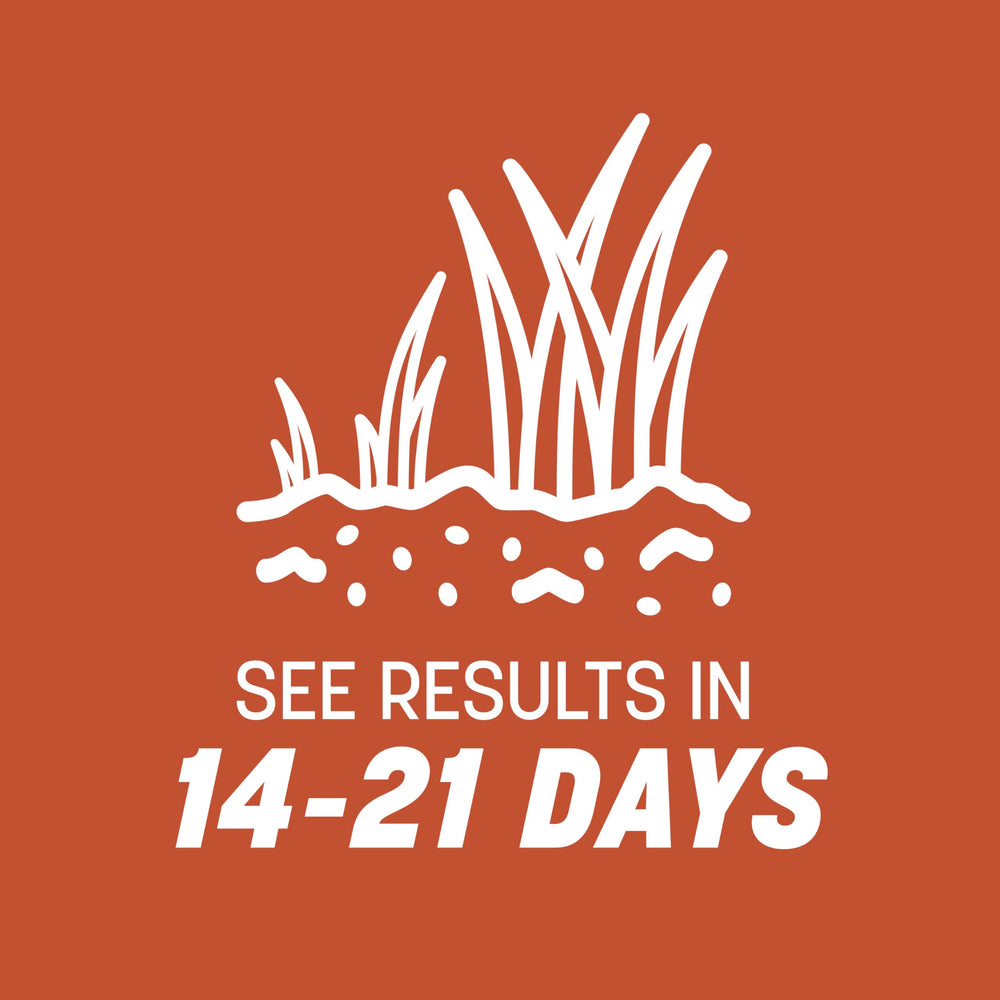 Pennington Bermudagrass seeds spread on soil