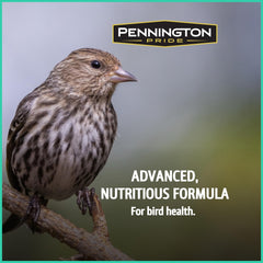 Pennington bird seed bag with feeder in the background