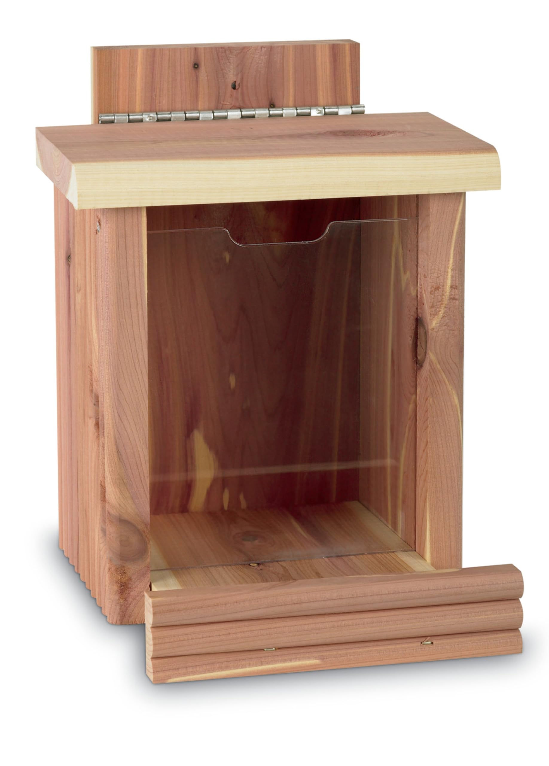 Pennington Cedar Squirrel Snacker Feeder in natural setting