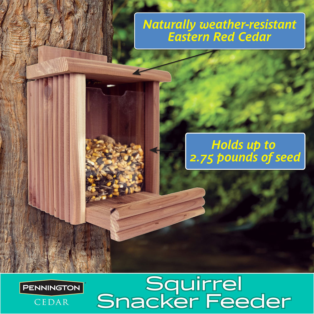 Pennington Cedar Squirrel Snacker Feeder with peanuts