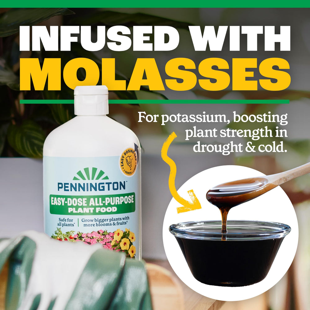 Pennington Easy-Dose Indoor Plant Food alongside blooming houseplants