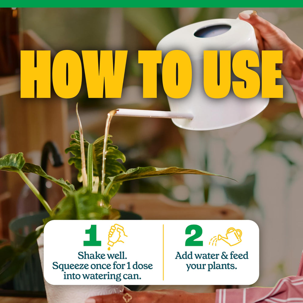 Pennington Easy-Dose Indoor Plant Food being applied to soil