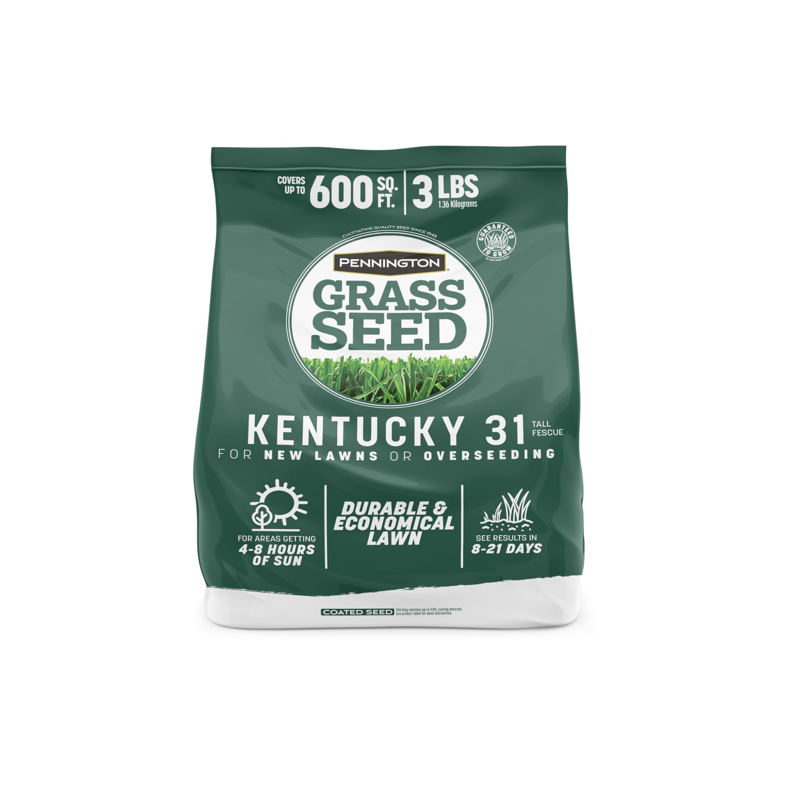 Pennington Kentucky 31 Tall Fescue Grass Seed 3 LB front view
