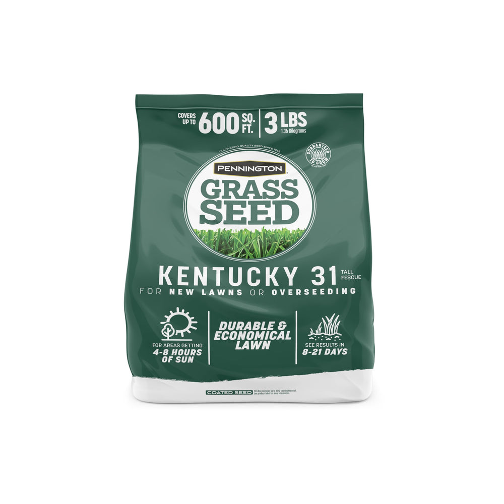 Pennington Kentucky 31 Tall Fescue Grass Seed 3 LB front view