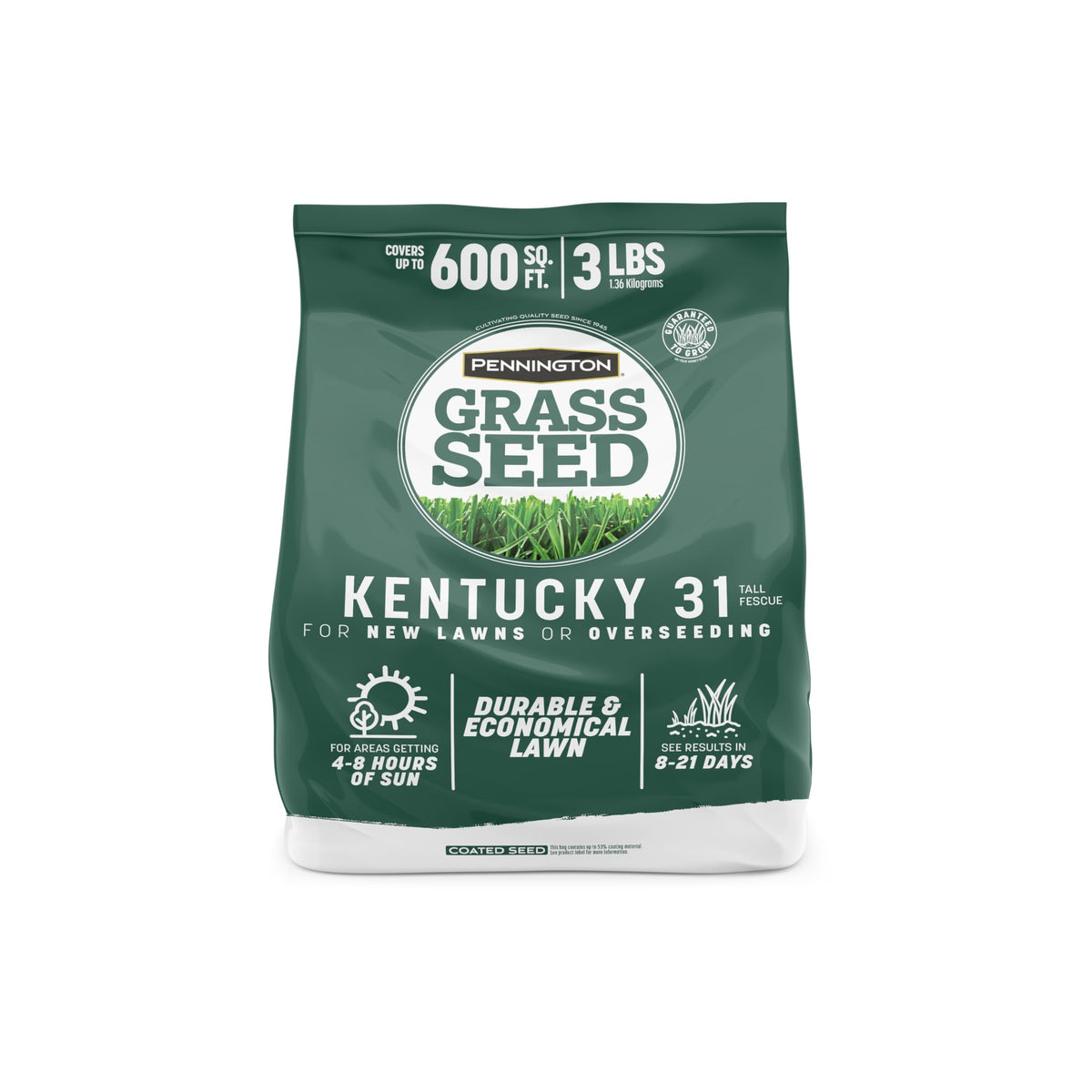 Pennington Kentucky 31 Tall Fescue Grass Seed 3 LB front view