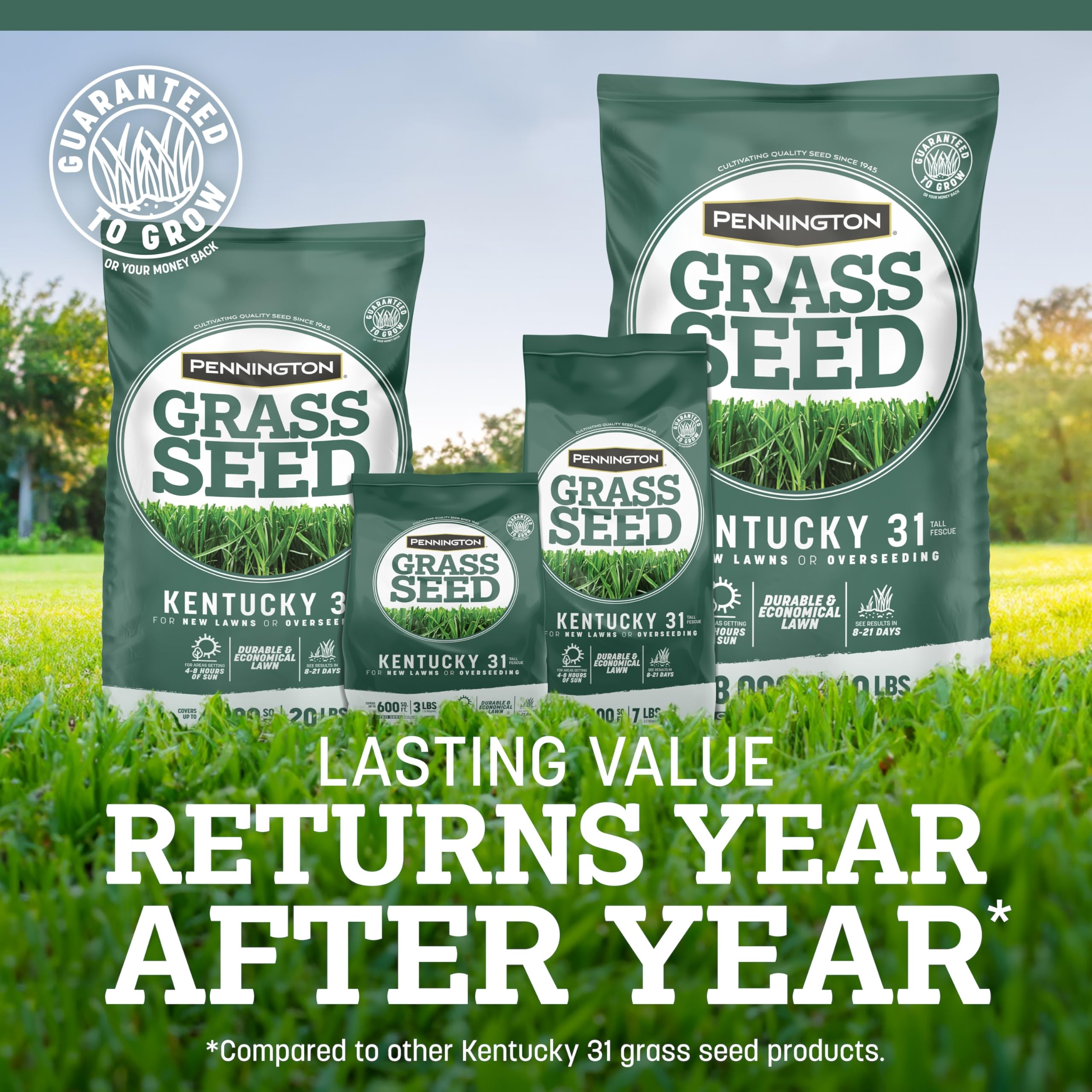 Pennington Kentucky 31 Tall Fescue Grass Seed in plastic bag