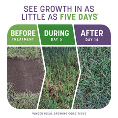 Pennington Smart Patch grass seed package with instructions