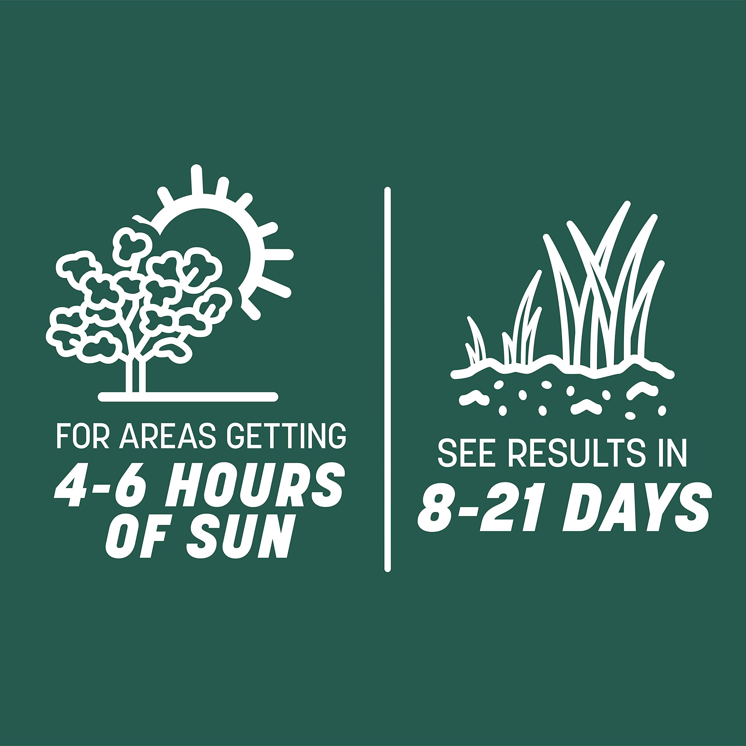 Pennington Smart Seed packaging with product information