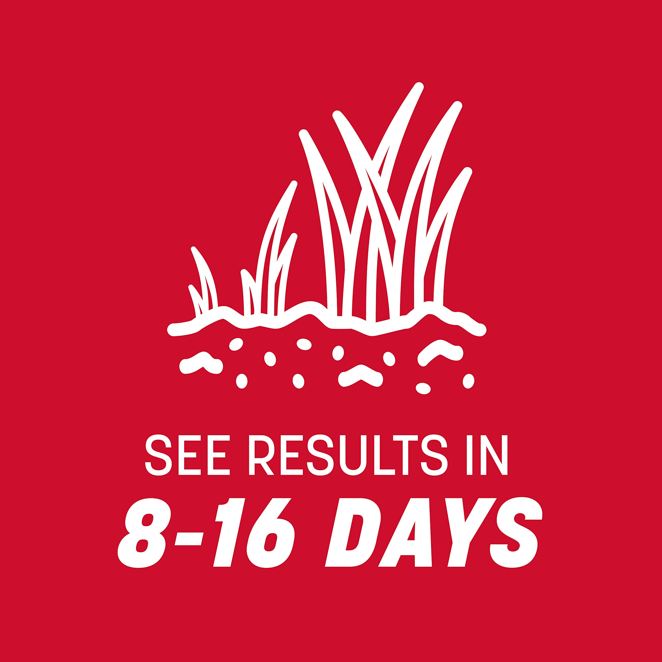 Pennington Tall Fescue Grass Seeds with a measuring cup