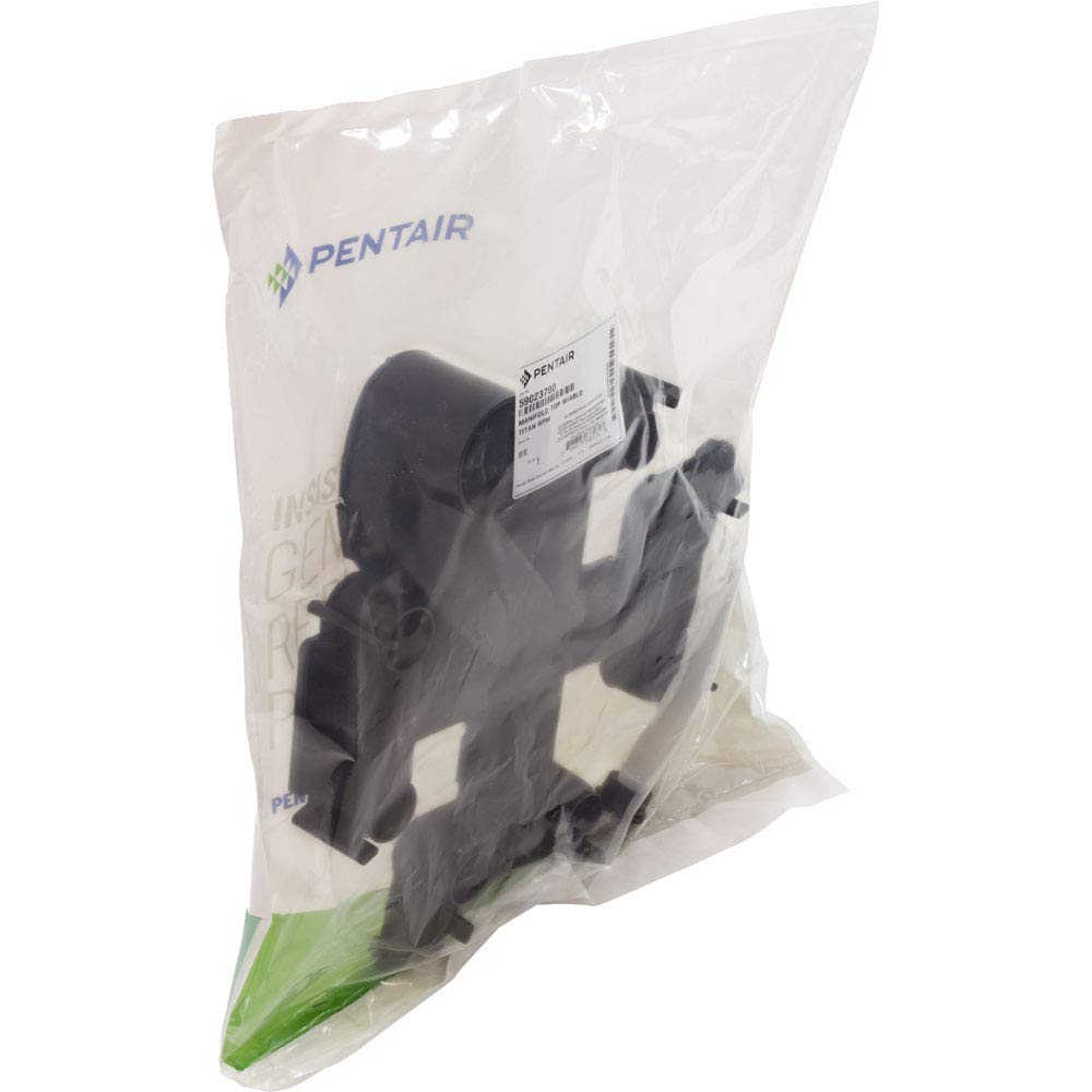 Pentair 59023700 Manifold Top with air bleed feature highlighted