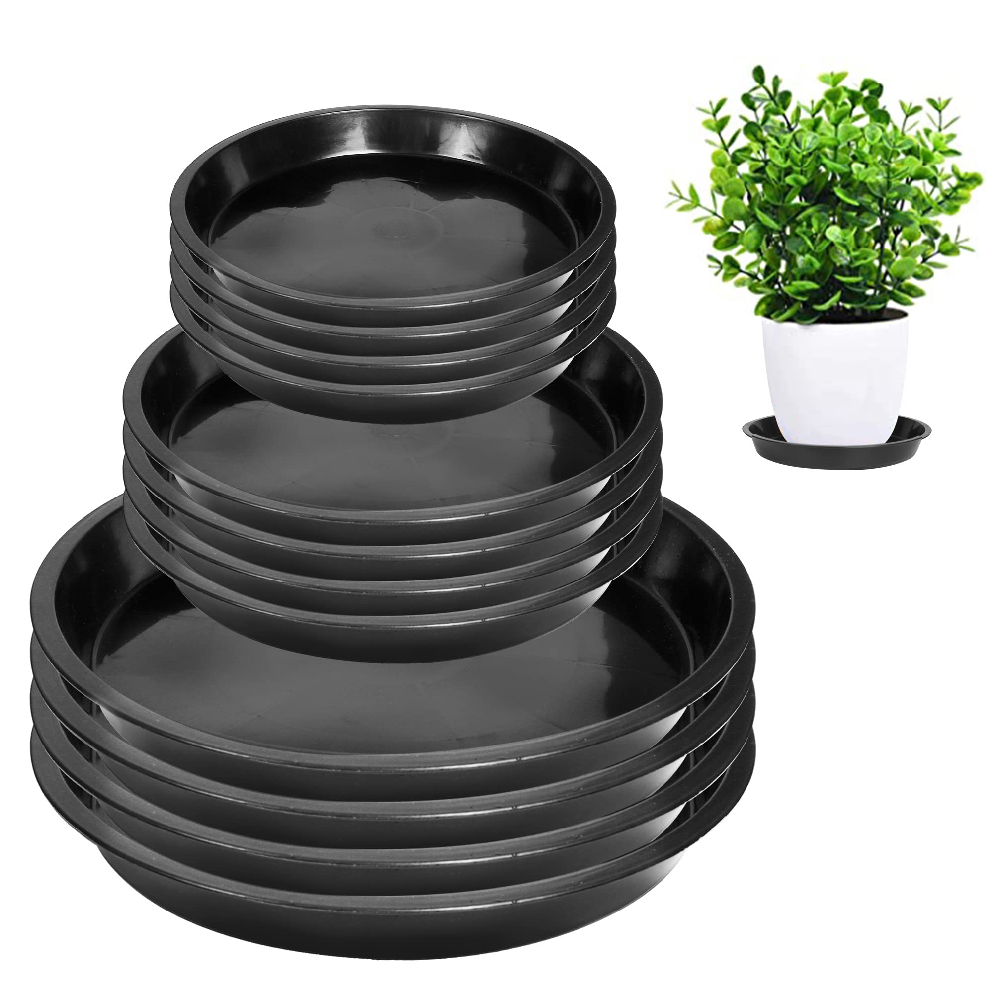 PeoMev 12-pack plant saucers in various sizes, black plastic trays