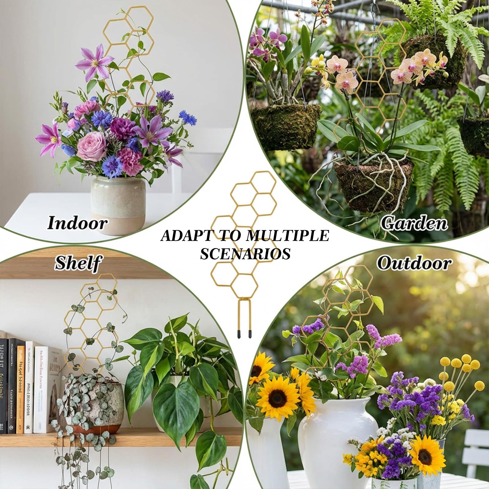 PEOVLVN Small Trellis displaying climbing plants