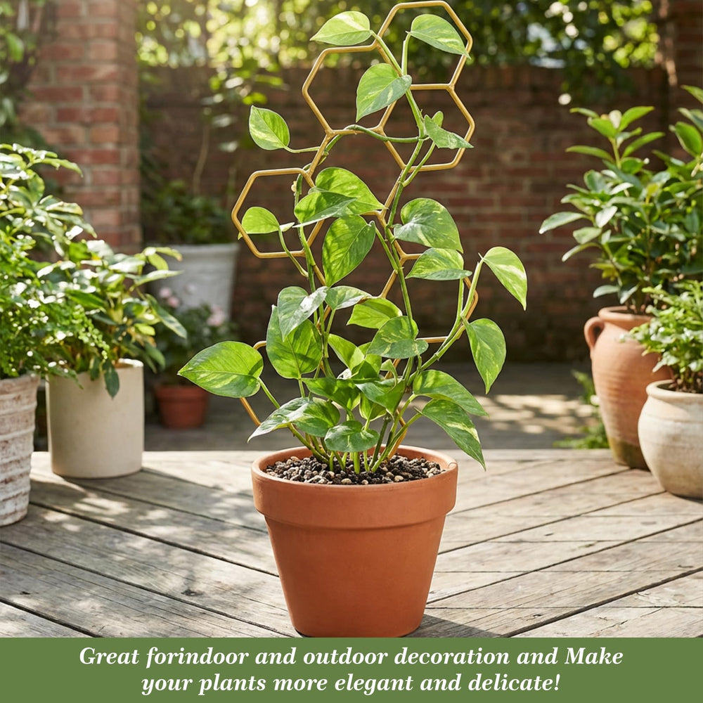 PEOVLVN Small Trellis packaging details