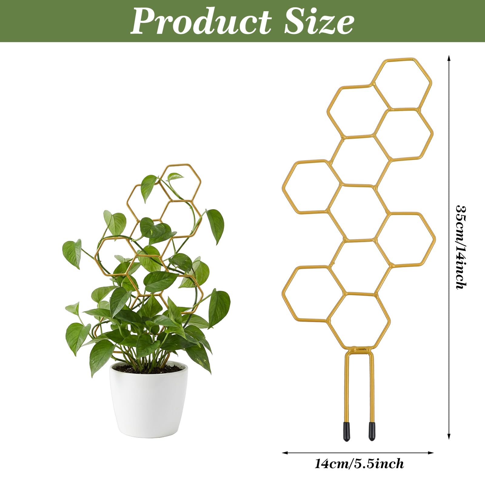 PEOVLVN Small Trellis showing honeycomb design