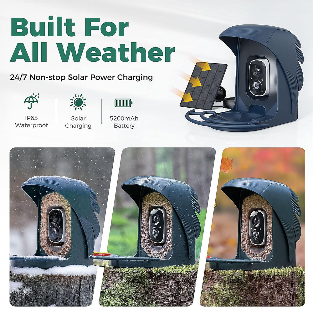 PerchMe Smart Bird Feeder showing bird watching in action