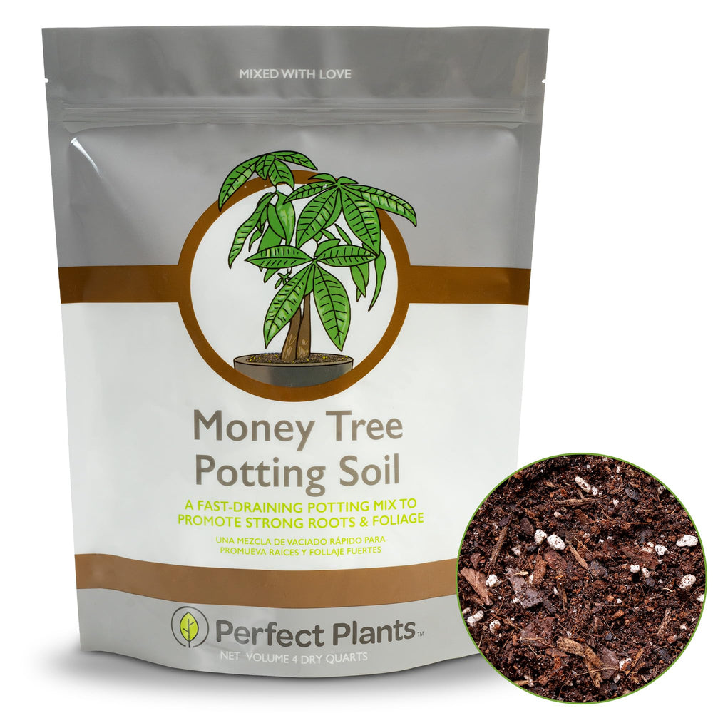 Perfect Plants Money Tree Potting Soil 4 qt package front view