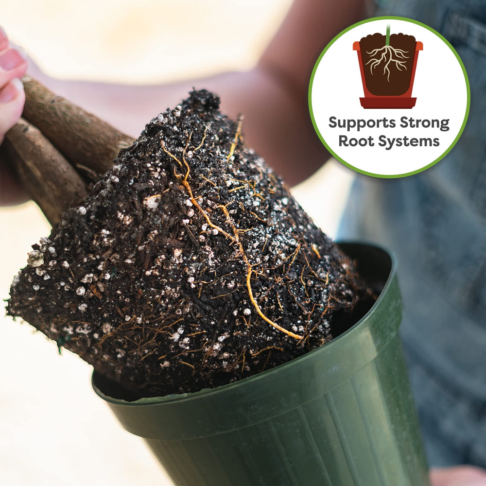 Perfect Plants Money Tree Potting Soil being poured into a pot