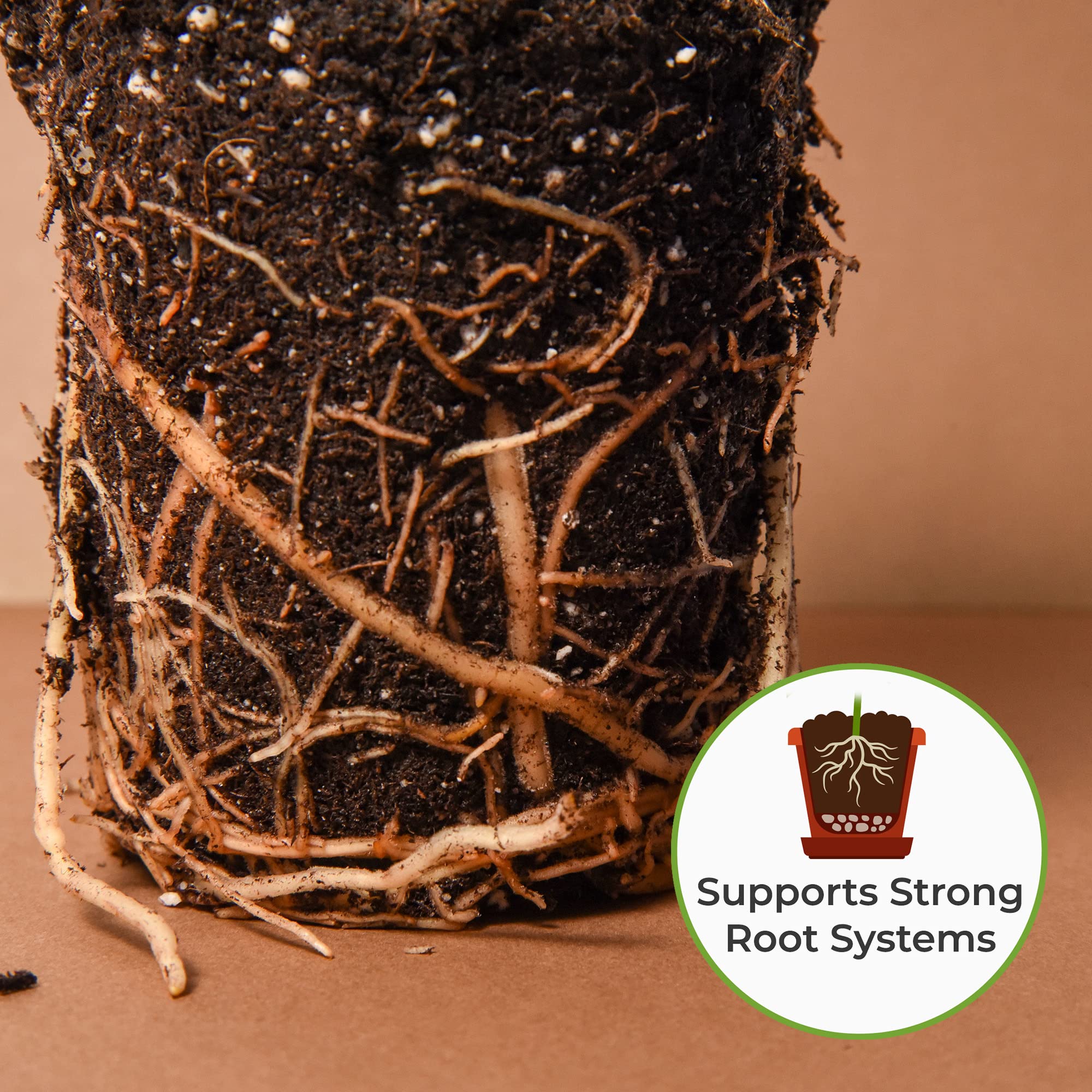 PERFECT PLANTS Snake Plant Soil ingredients displayed