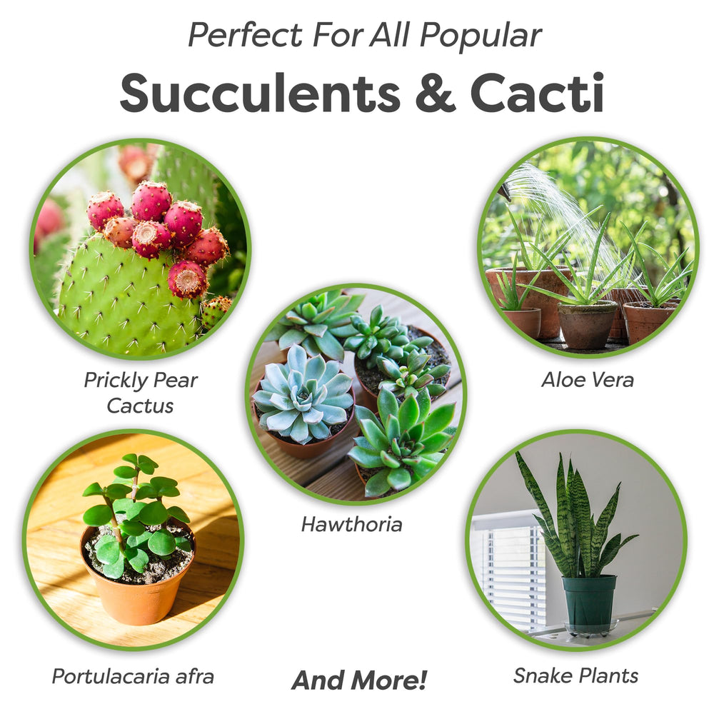 PERFECT PLANTS Succulent Soil Mix resealable bag