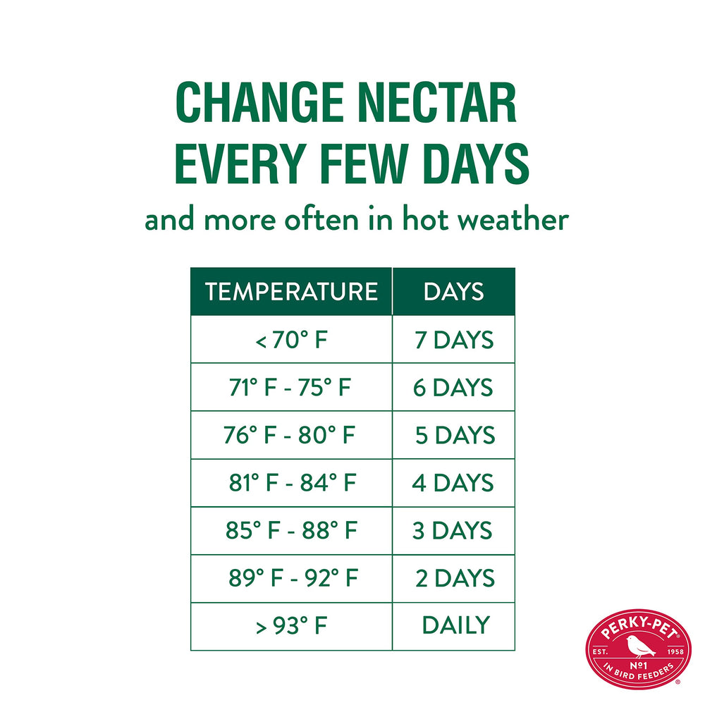 Perky-Pet Daisy Vase Feeder in use attracting hummingbirds