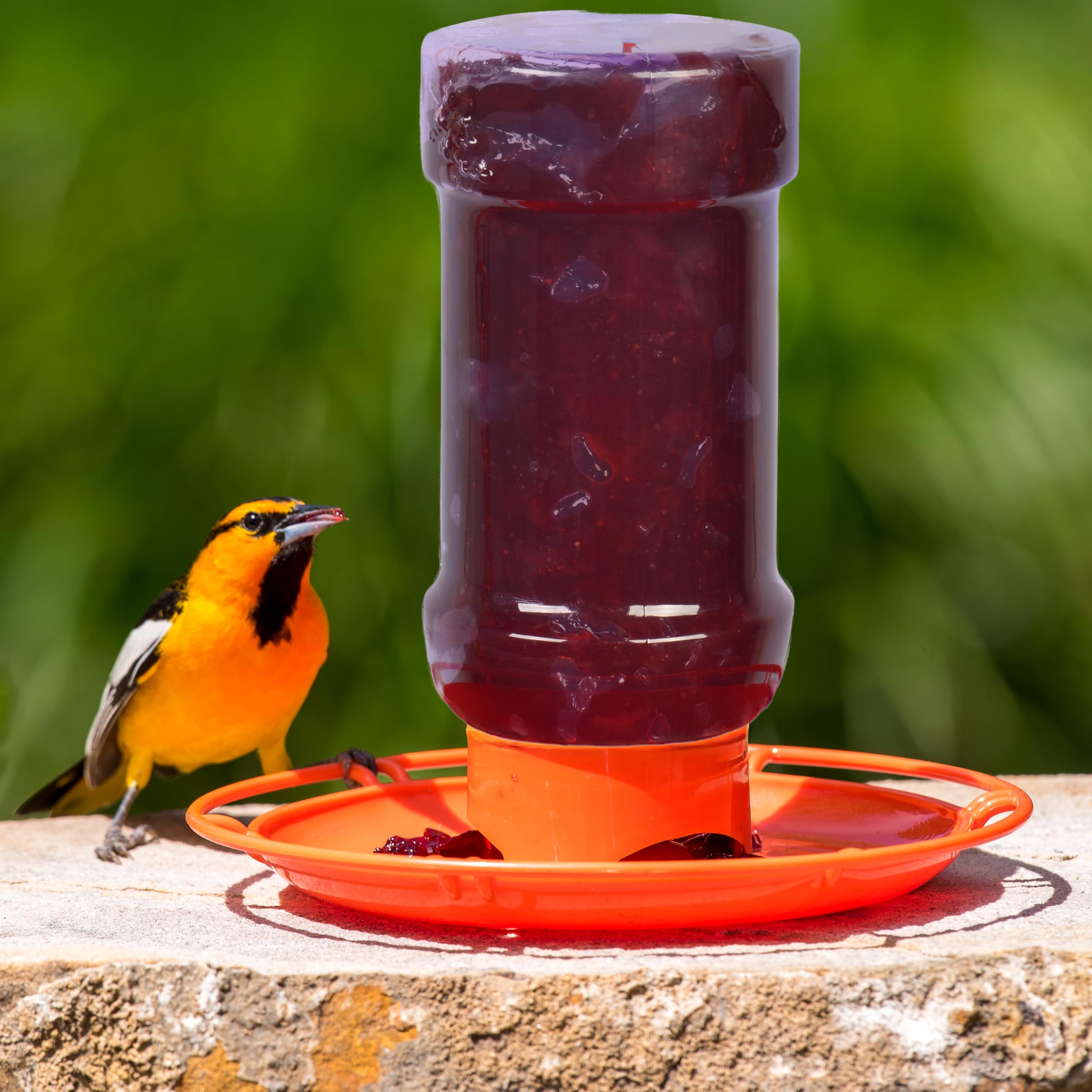 Perky-Pet feeder filled with jelly in outdoor setting
