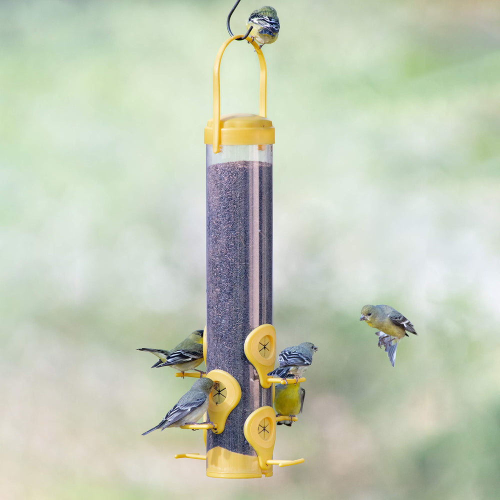 Perky-Pet Finch Feeder showing clear tube for monitoring seed levels