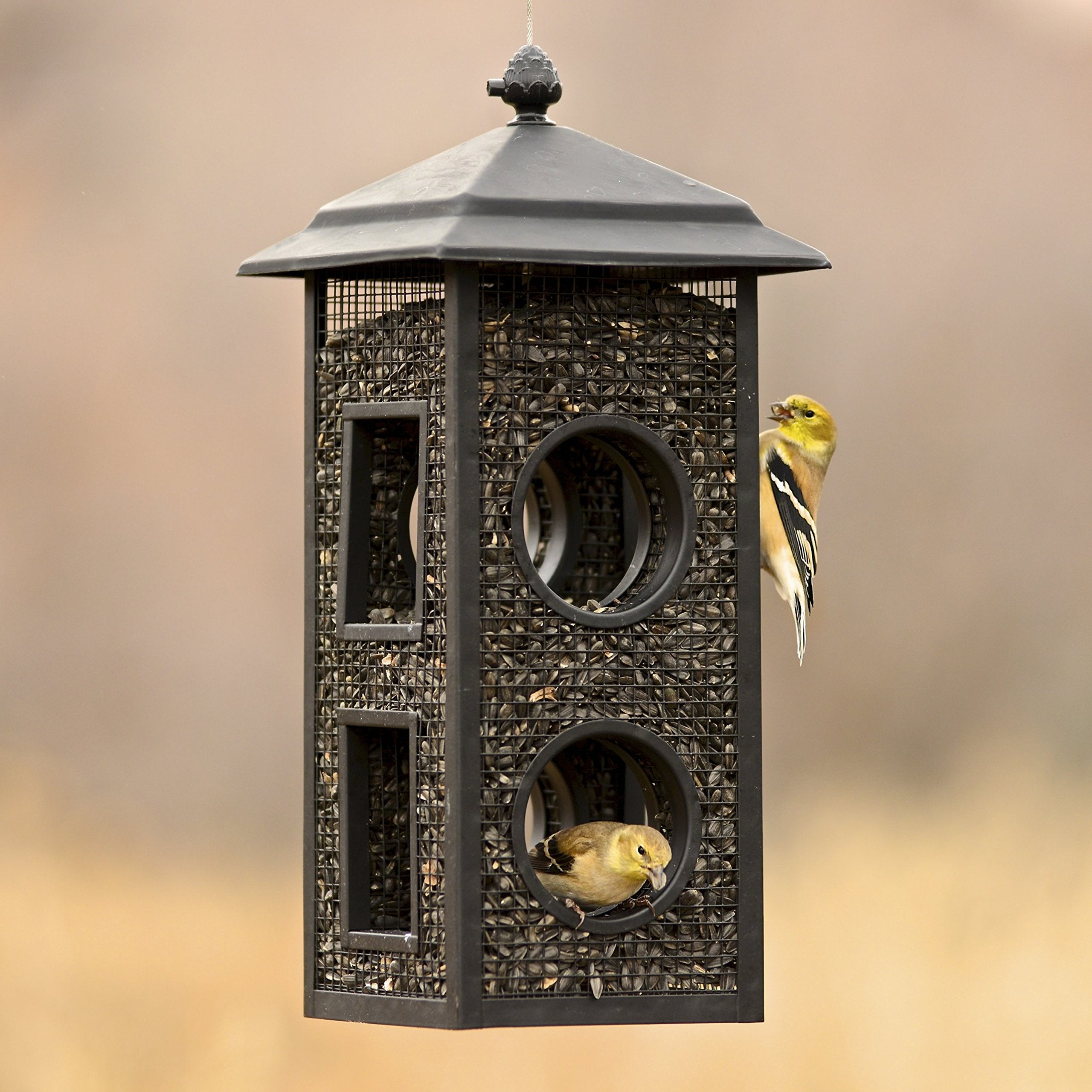 Perky-Pet Fly-Thru Bird Feeder side view displaying mesh construction