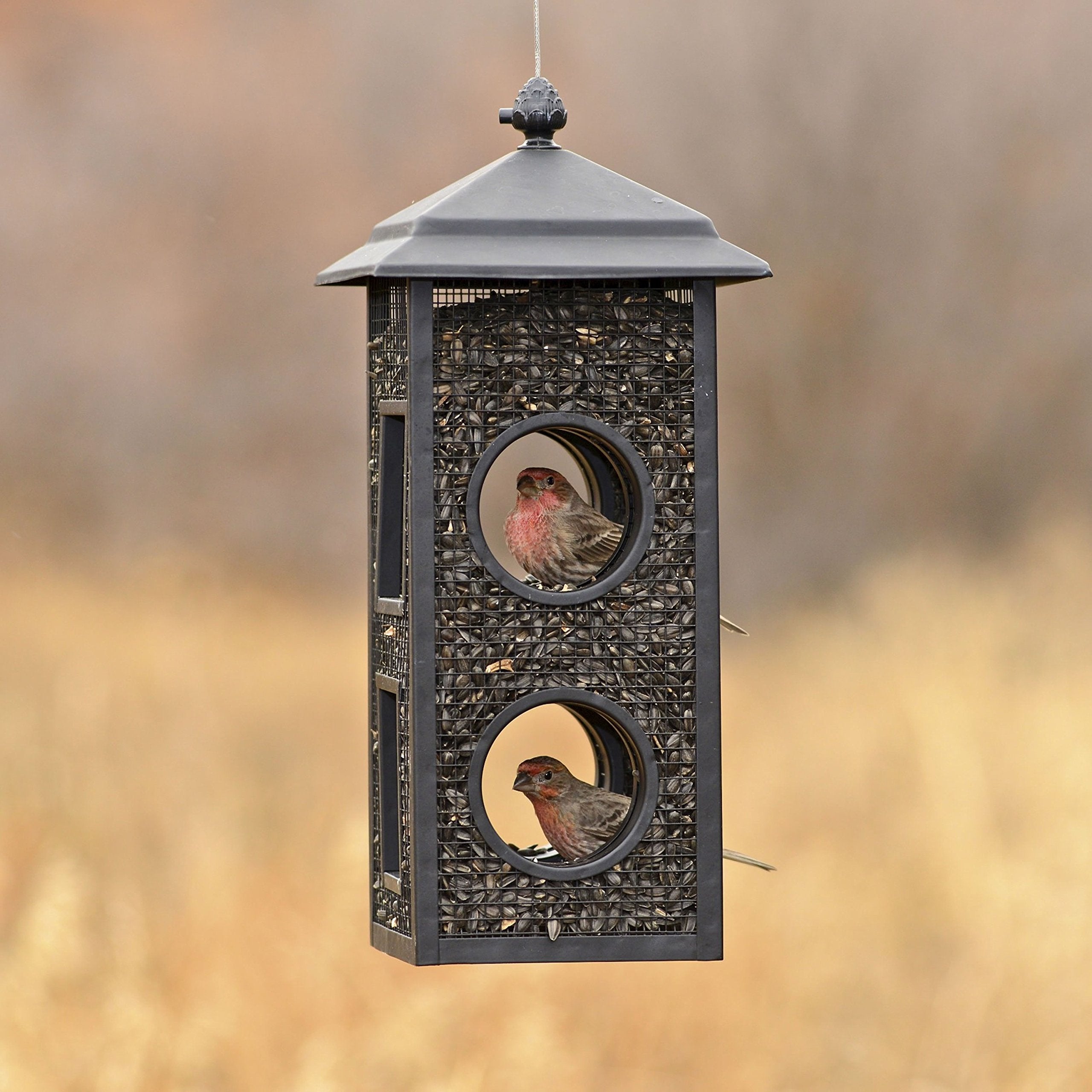 Perky-Pet Fly-Thru Wild Bird Feeder in garden setting