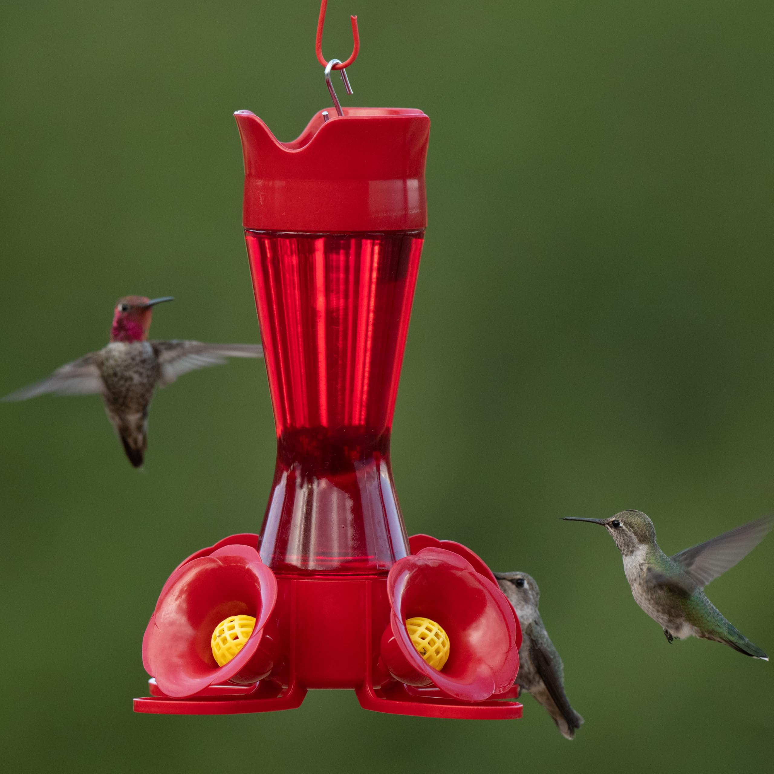 Perky-Pet Hummingbird Feeder assembled with ant moat filled