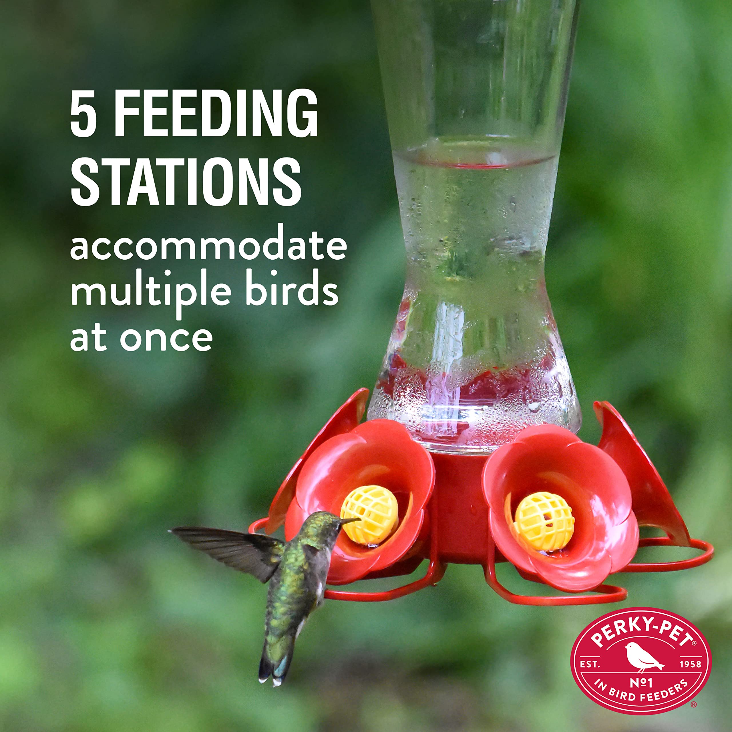 Perky-Pet Hummingbird Feeder clear glass with nectar