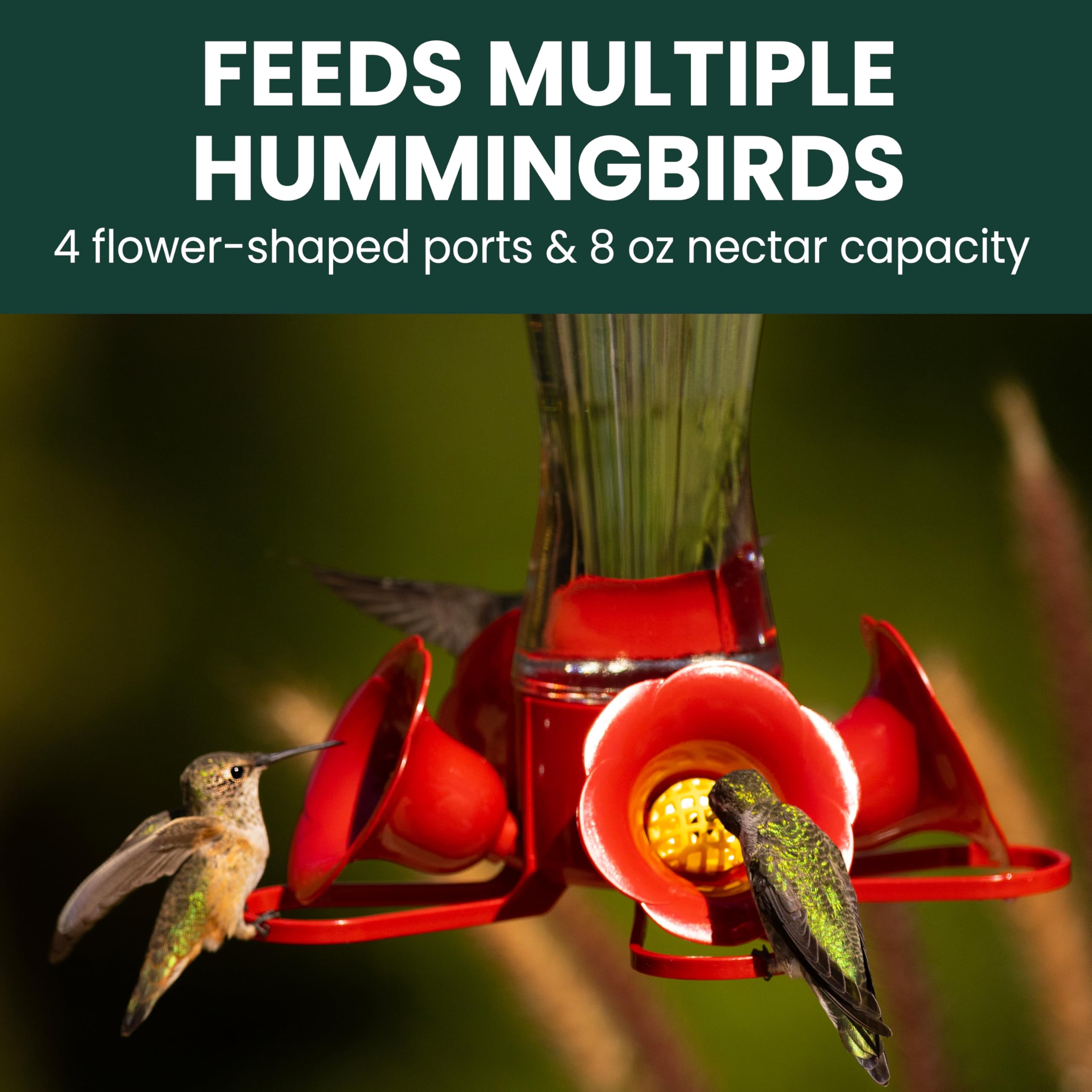 Perky-Pet hummingbird feeder in outdoor garden setting
