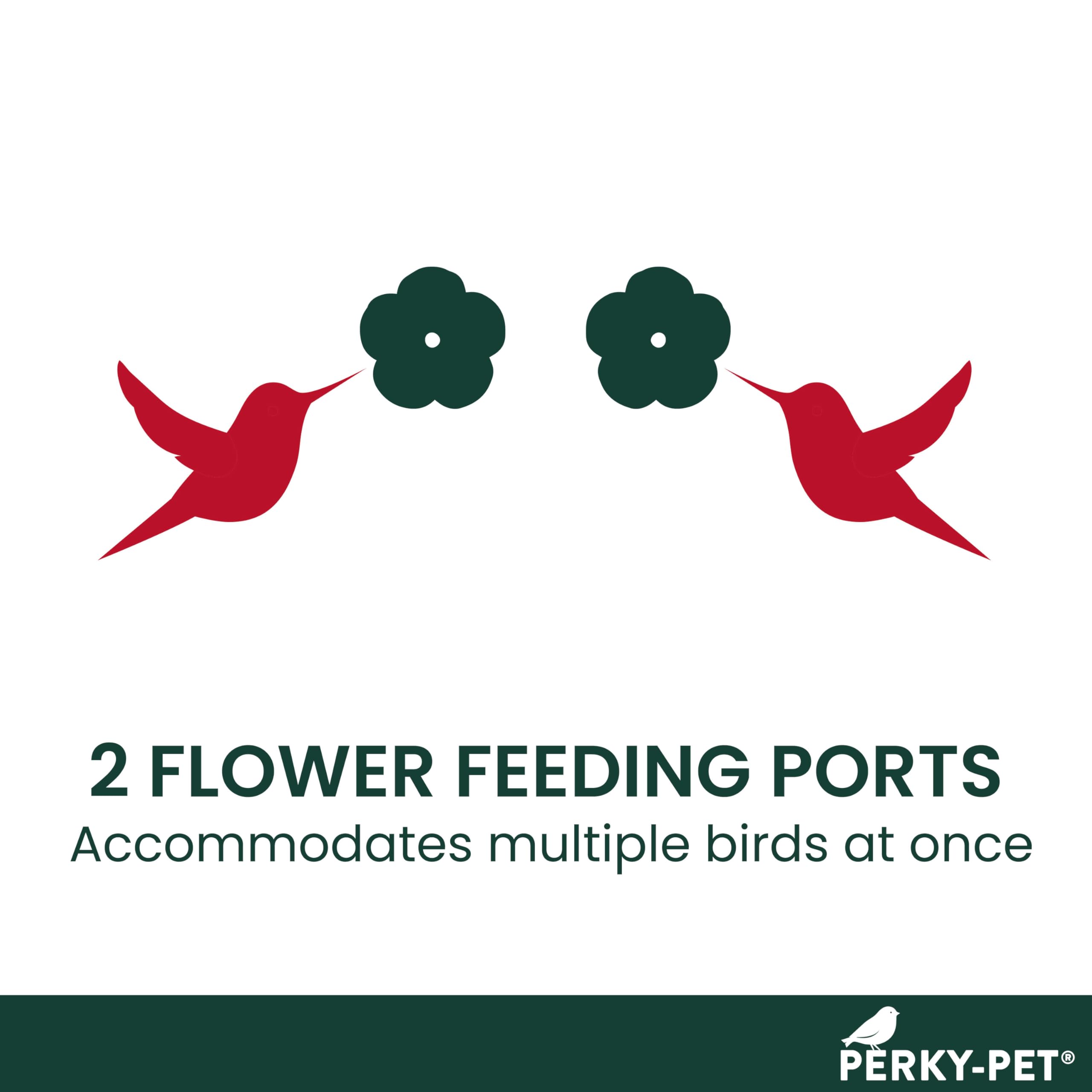 Perky-Pet Hummingbird Feeder mounted on a window using suction cups