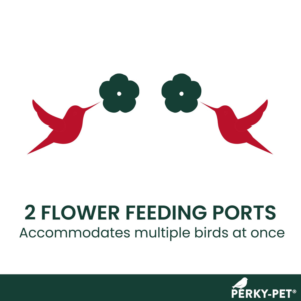 Perky-Pet Hummingbird Feeder mounted on a window using suction cups