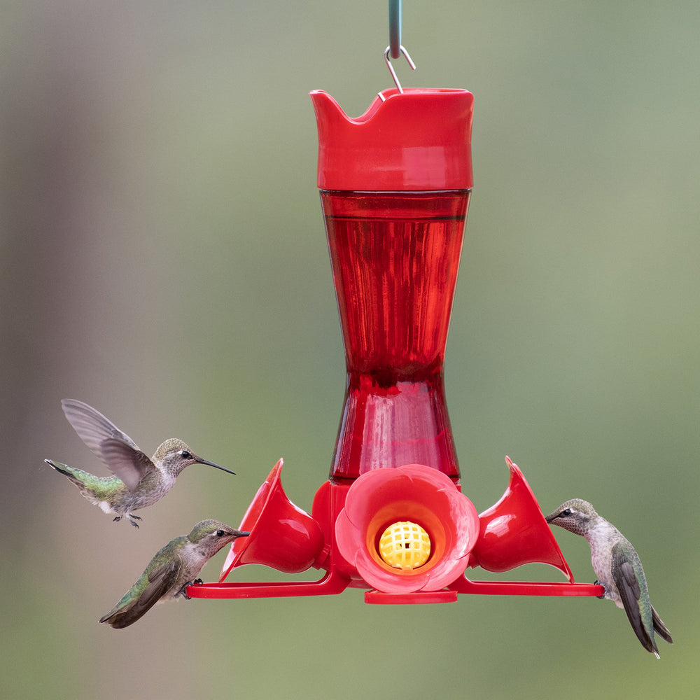 Perky-Pet Hummingbird Feeder showing four flower-shaped feeding ports