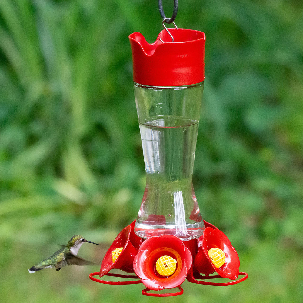 Perky-Pet Hummingbird Feeder wide-mouth opening