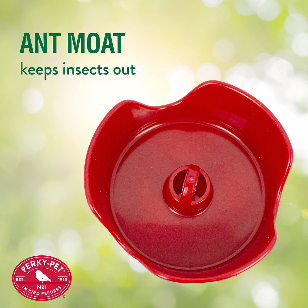 Perky-Pet Hummingbird Feeder with comfortable U-shaped perches