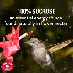 Perky-Pet hummingbird nectar bottle with ingredients label