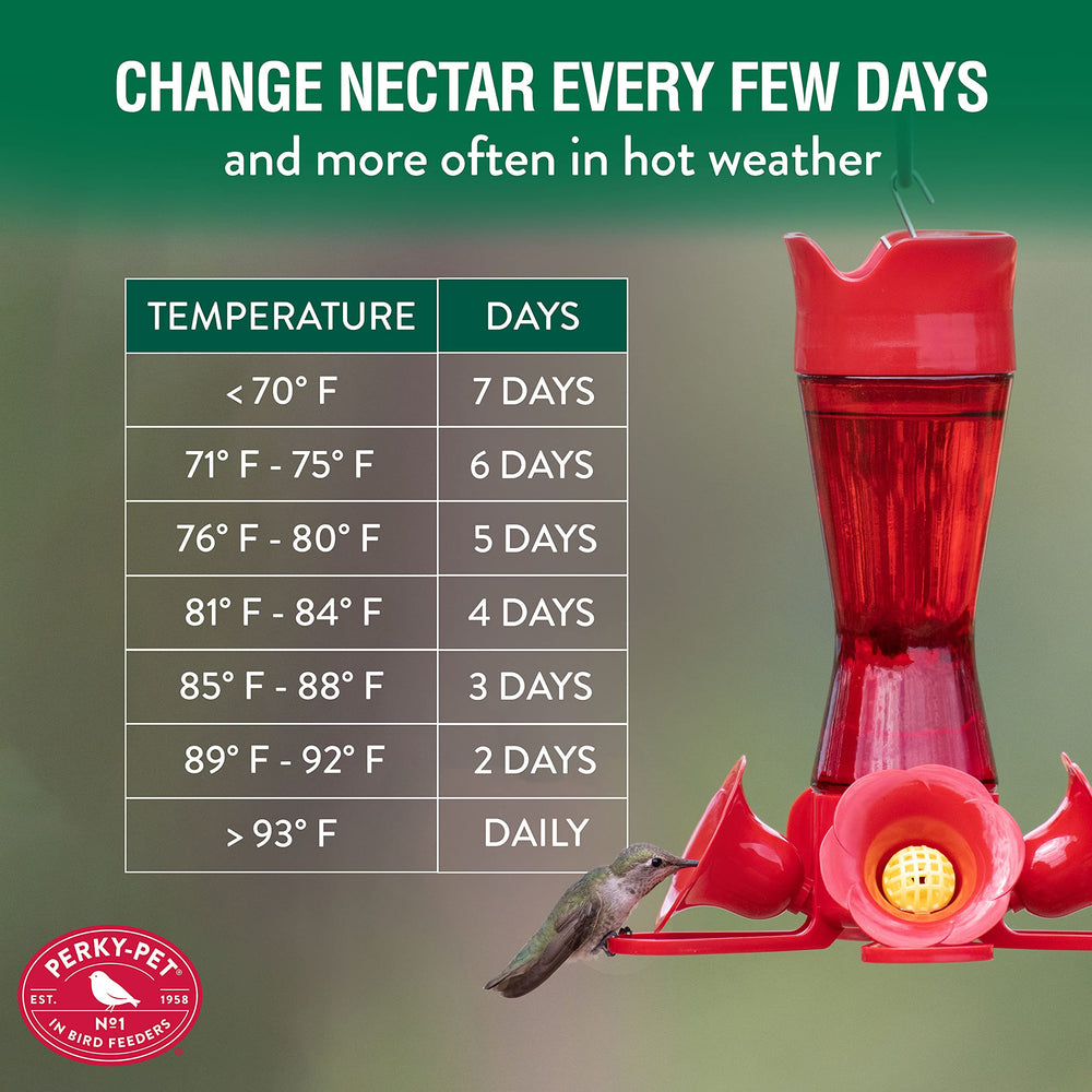 Perky-Pet hummingbird nectar concentrate in a garden setting