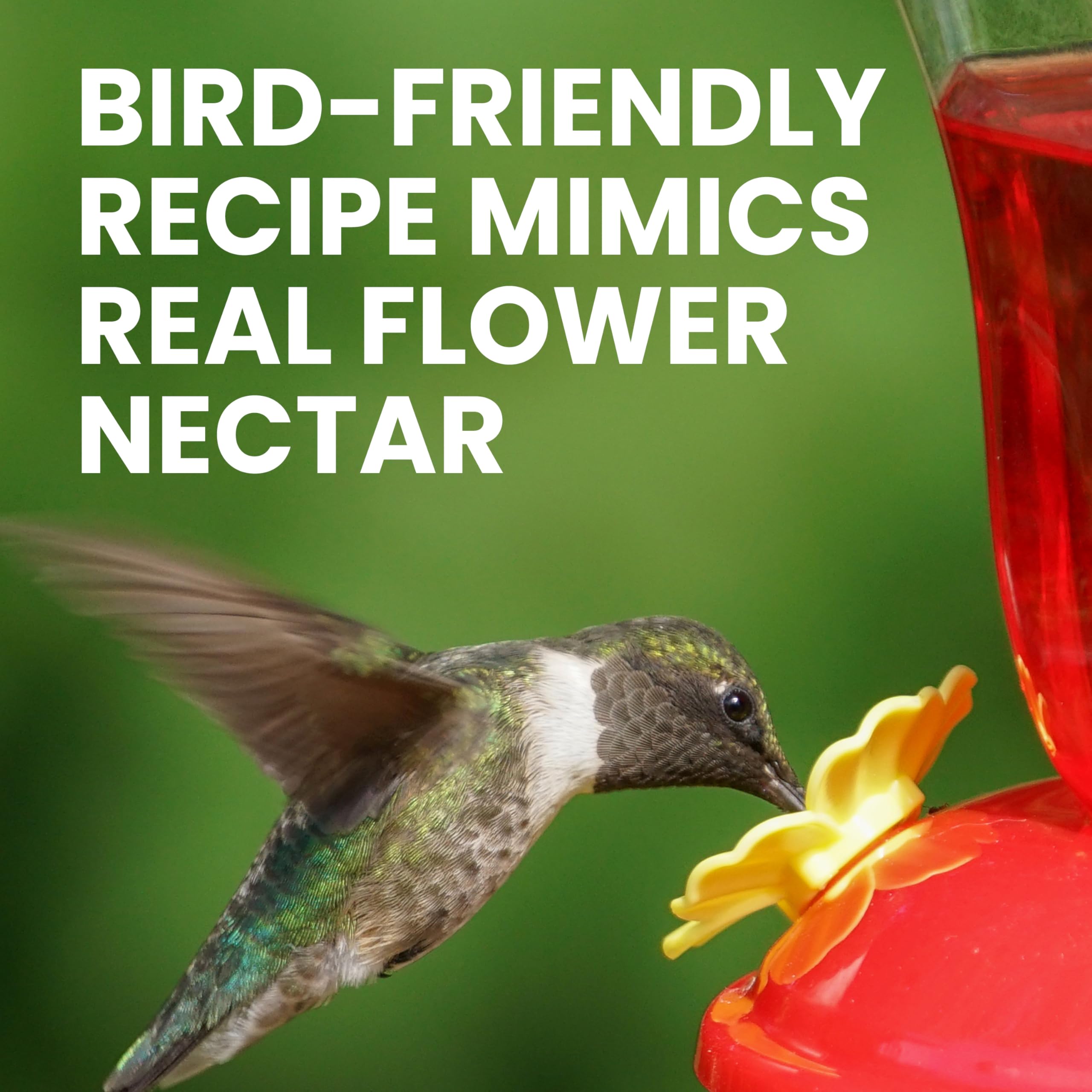 Perky-Pet Hummingbird Nectar powder in a measuring cup