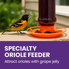 Perky-Pet oriole feeder with jelly jar and stirrer mechanism