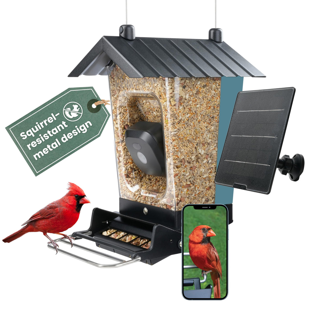 Perky-Pet Solar Powered Smart Bird Feeder with Camera, blue model front view