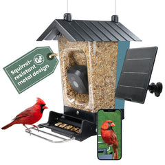 Perky-Pet Solar Powered Smart Bird Feeder with Camera, blue model front view