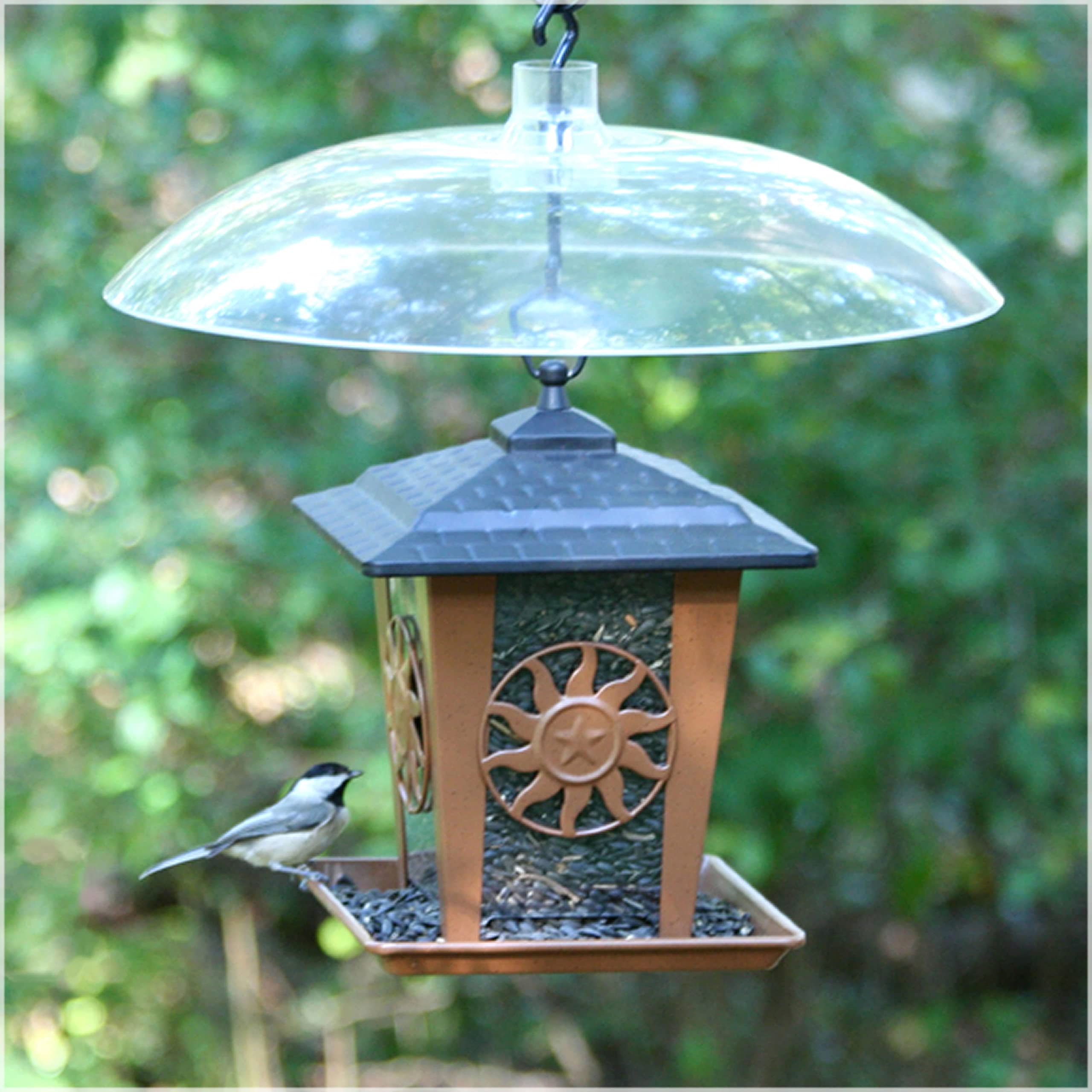 Perky-Pet Squirrel Baffler 16 Inch Clear Dome side view with hooks