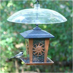 Perky-Pet Squirrel Baffler 16 Inch Clear Dome side view with hooks