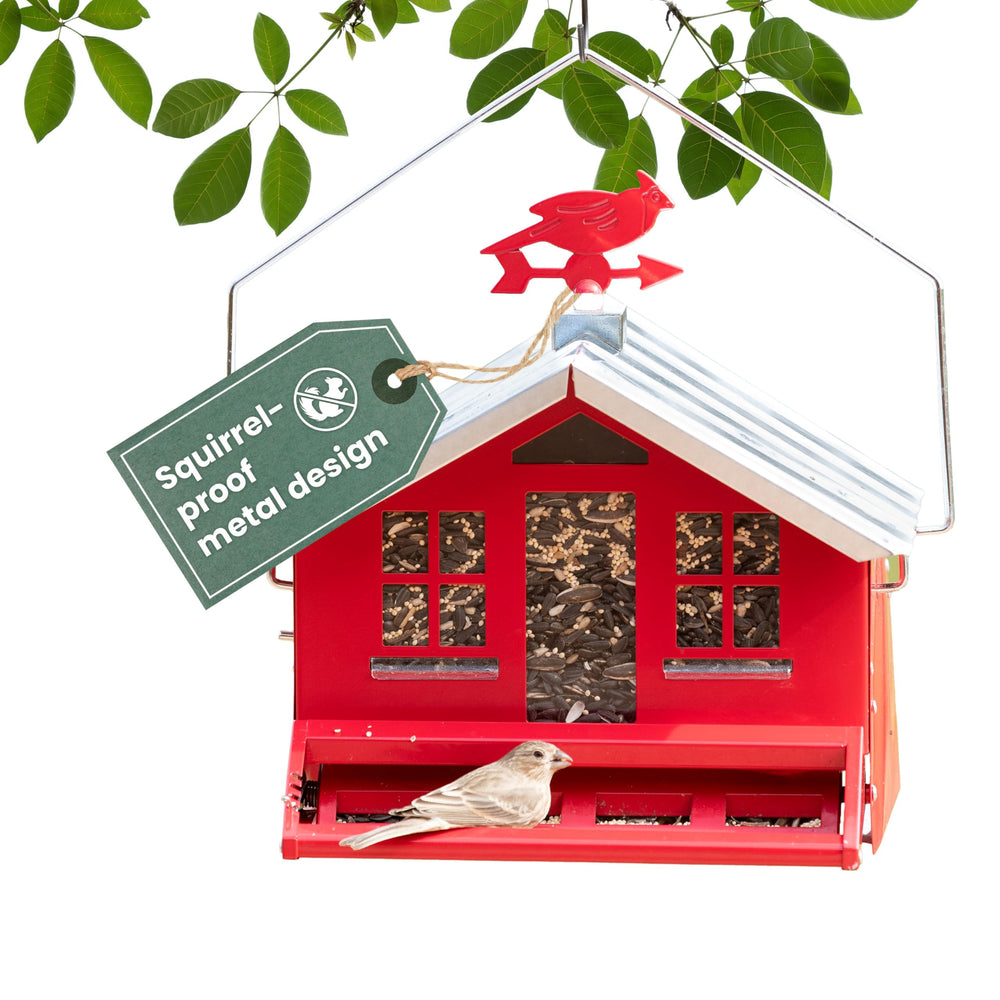 Perky-Pet Squirrel-Be-Gone II Bird Feeder front view with red body