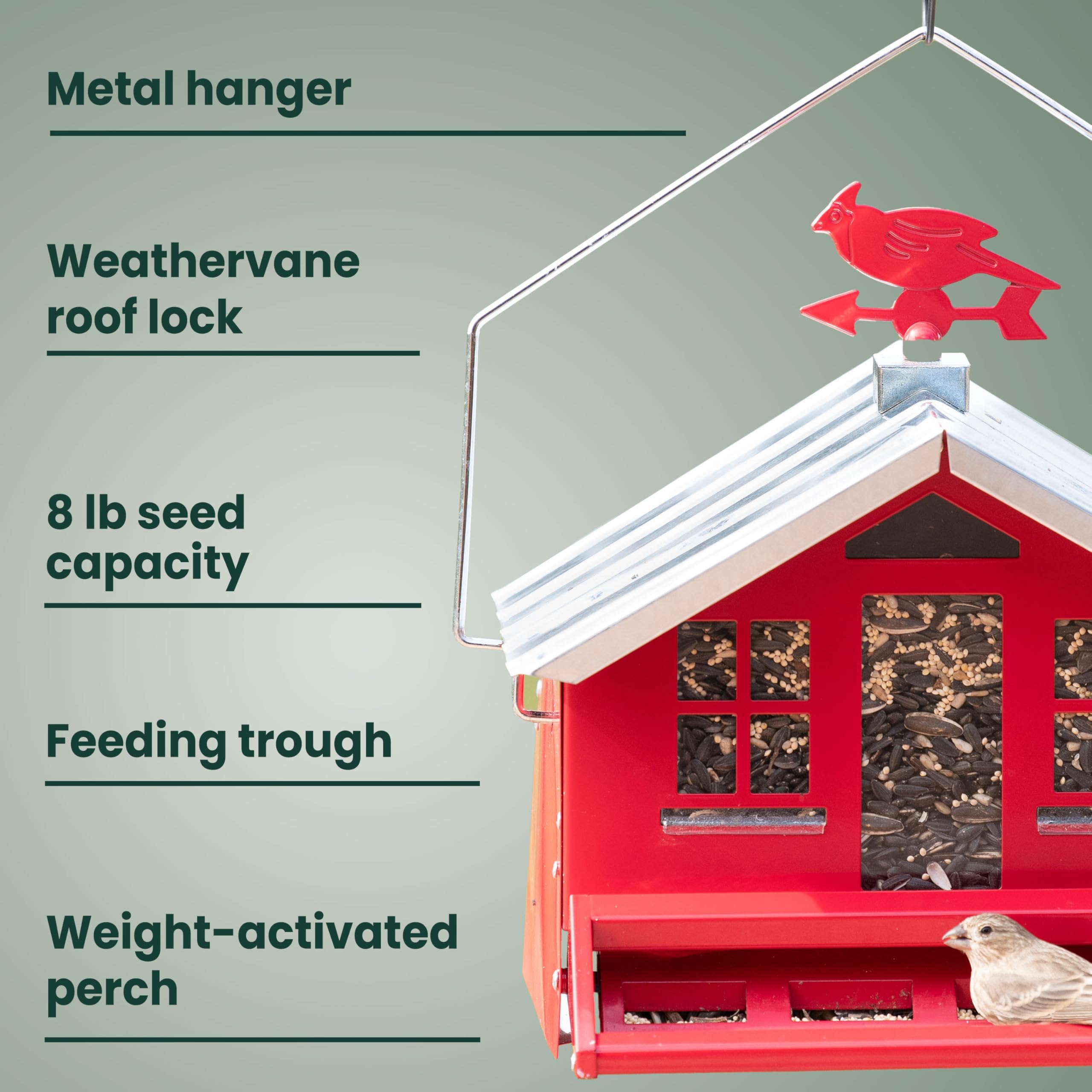 Perky-Pet Squirrel-Be-Gone II Bird Feeder in garden setting