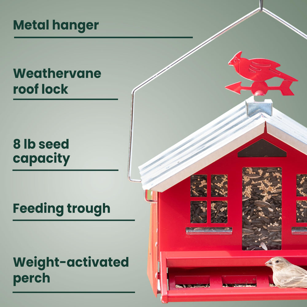 Perky-Pet Squirrel-Be-Gone II Bird Feeder in garden setting