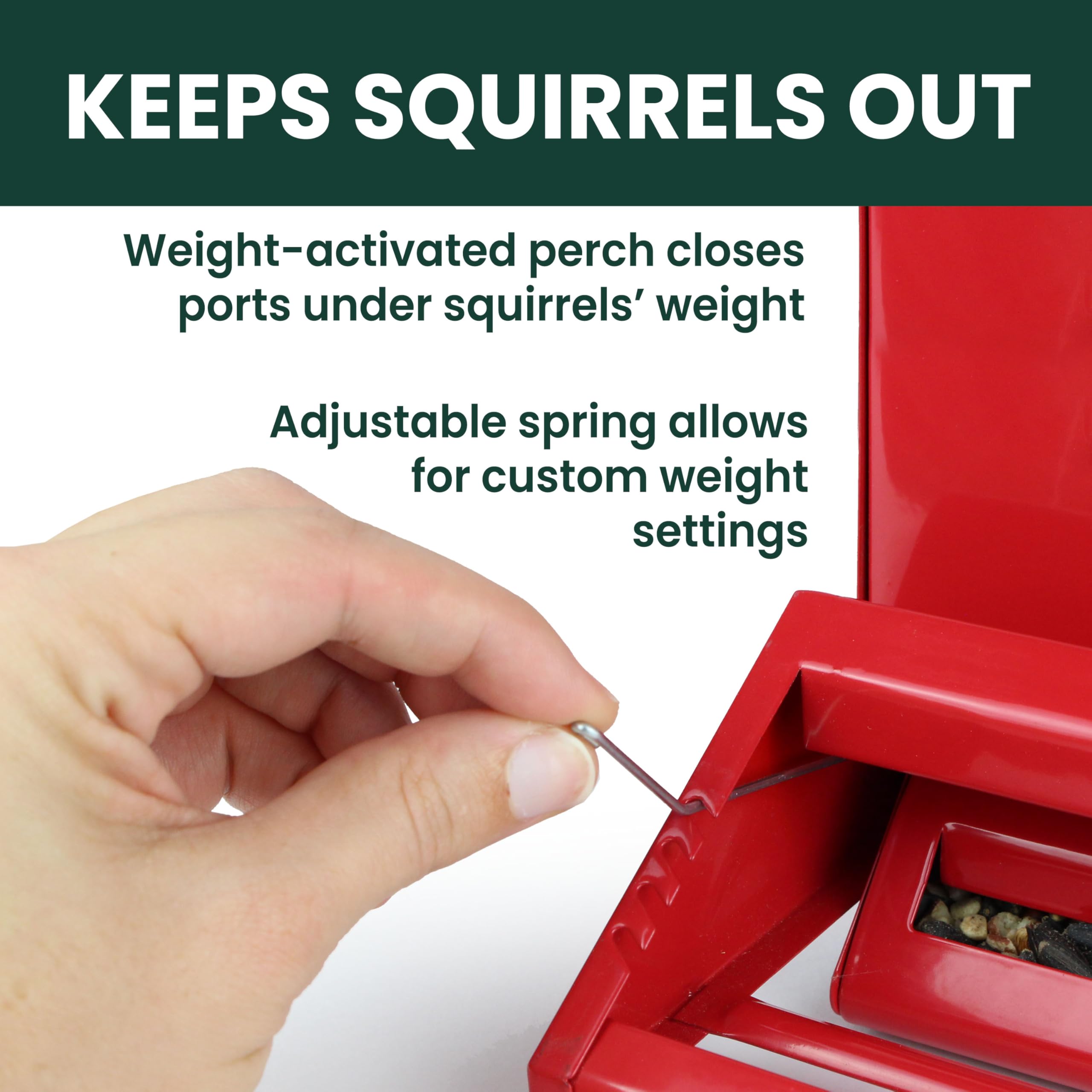 Perky-Pet Squirrel-Be-Gone II Bird Feeder showing seed ports