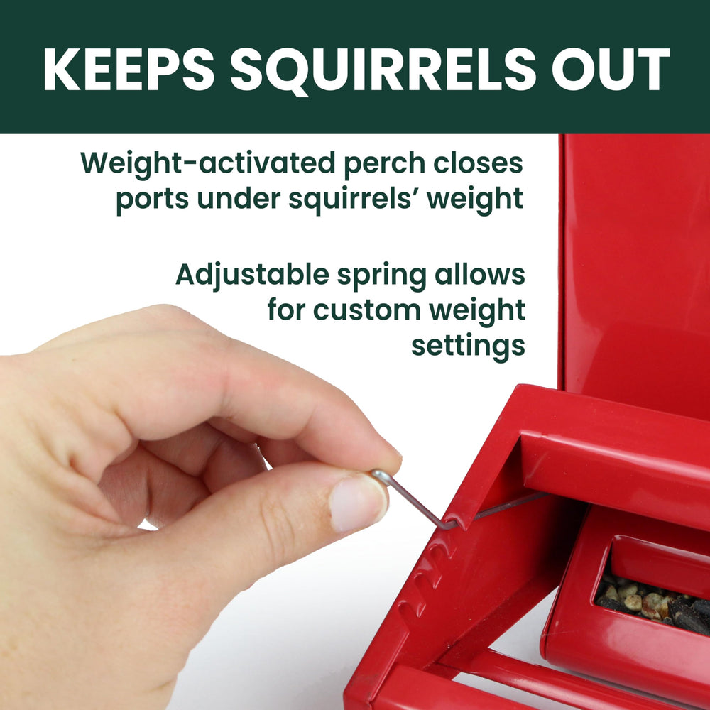 Perky-Pet Squirrel-Be-Gone II Bird Feeder showing seed ports