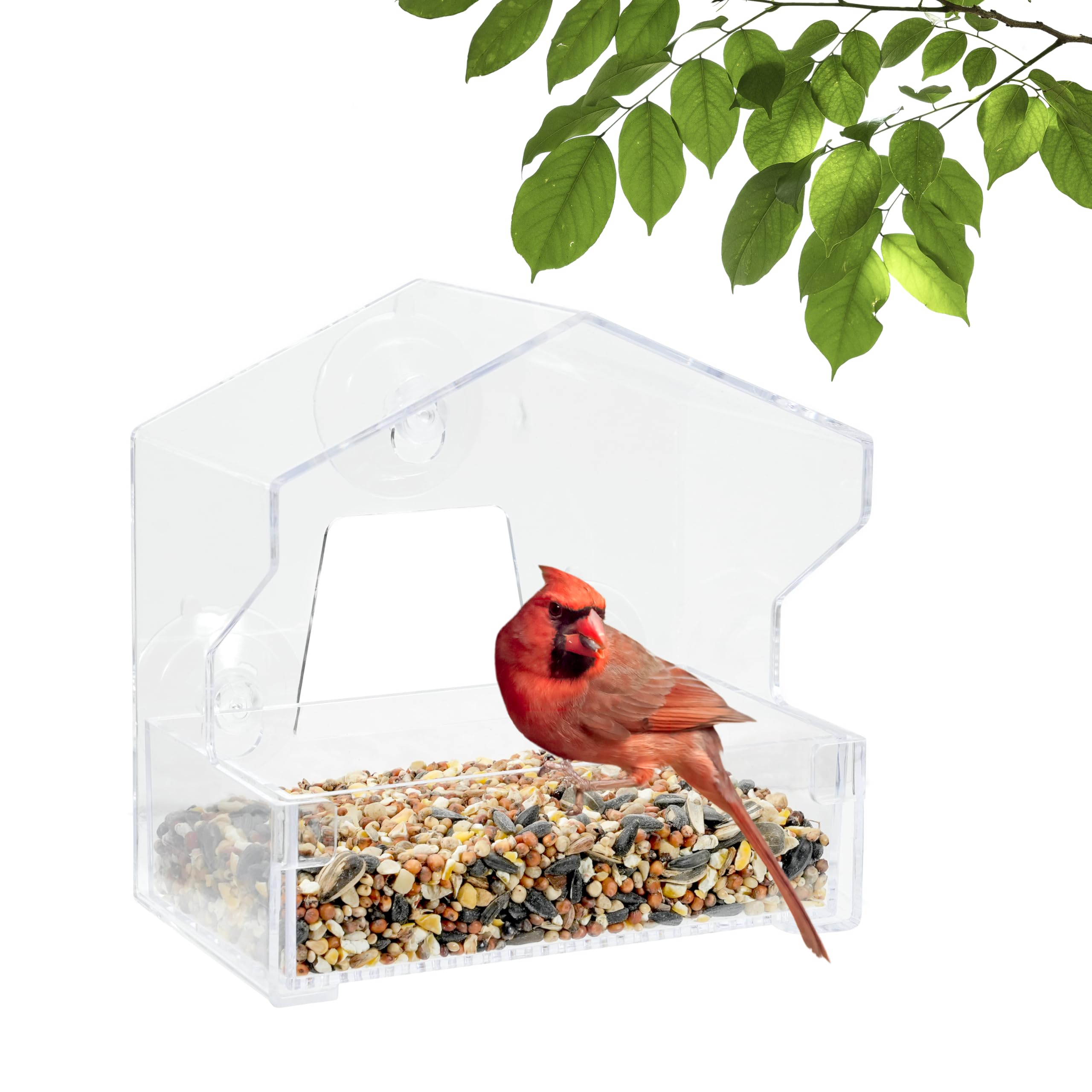 Perky-Pet Window Bird Feeder clear design front view